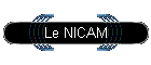 Le NICAM